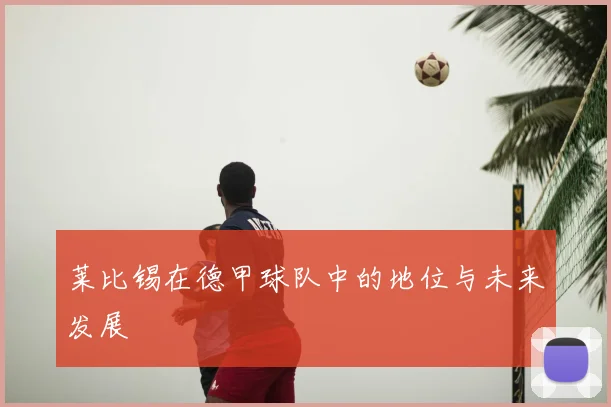 莱比锡在德甲球队中的地位与未来发展